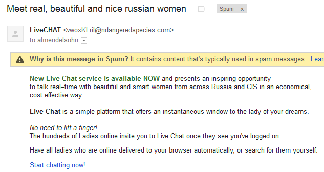 spam spam